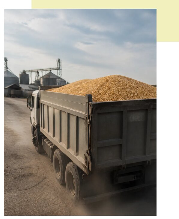Перевозка сельхозпродукции навалом в Комсомольск-на-Амур по цене от 3061 р. | Агросервис-Кмс